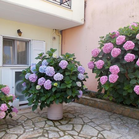 Pansion Filoxenia Apartments&Studios Tsoukaládhes Zewnętrze zdjęcie