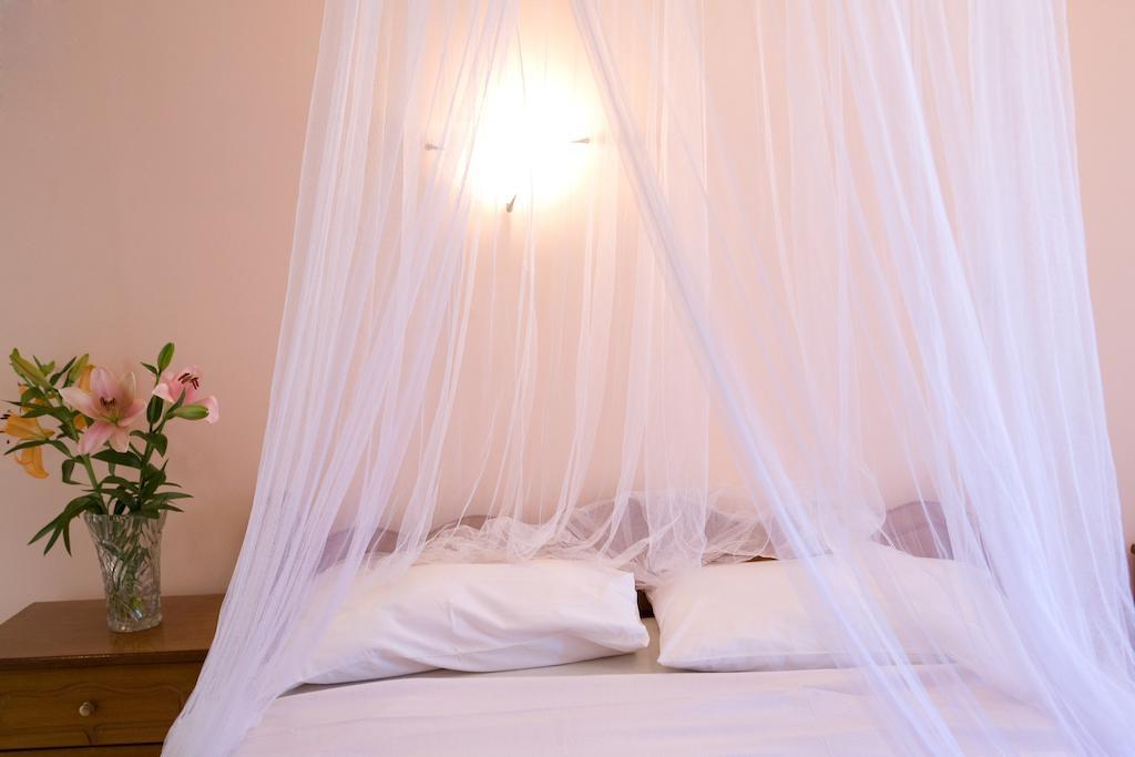 Pansion Filoxenia Apartments&Studios Tsoukaládhes Zewnętrze zdjęcie