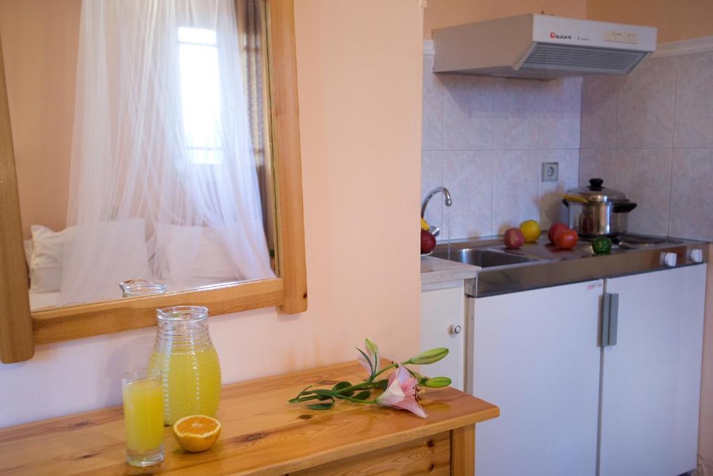 Pansion Filoxenia Apartments&Studios Tsoukaládhes Pokój zdjęcie