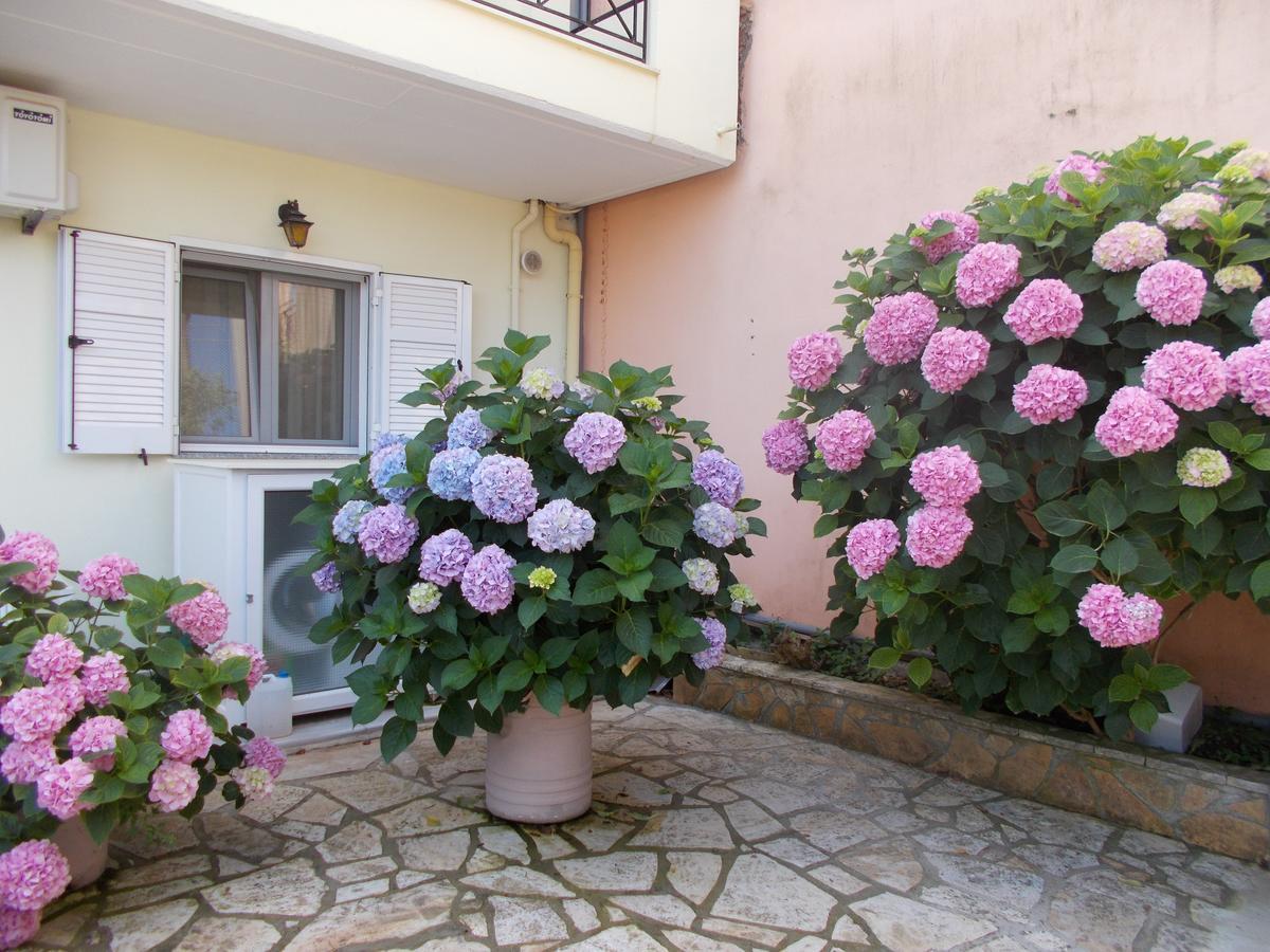 Pansion Filoxenia Apartments&Studios Tsoukaládhes Zewnętrze zdjęcie